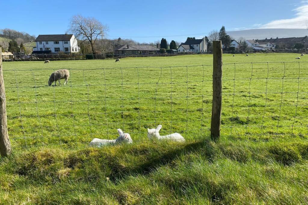 Sawley In The Forest Of Bowland - Cosy Cottage. คลิเธอโร ภายนอก รูปภาพ